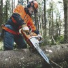 Motosierra Husqvarna 125 18"*nostock* Motosierra Husqvarna 125 18"*nostock*
