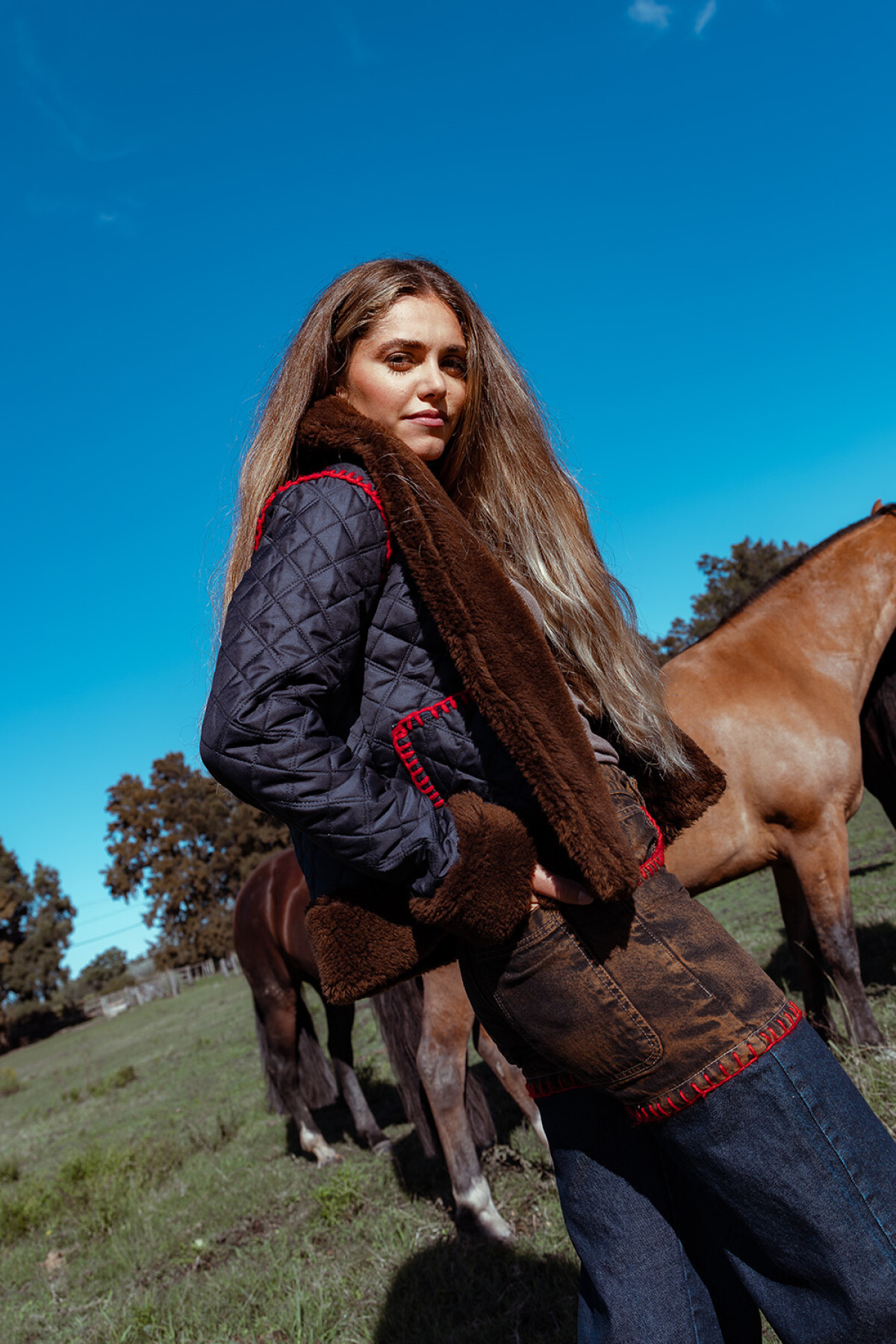 Vaquero Colibrí óxido / Azul