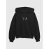 LOGO PO HOODIE MOONLESS NIGHT