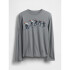 OCT LS VALUE GRAPHICS PILOT GREY