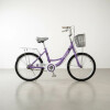 Bicicleta Rodado 20 Con Canasto Y Parrilla Violeta