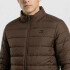 CAMPERA GD MEN MARRON SHOP