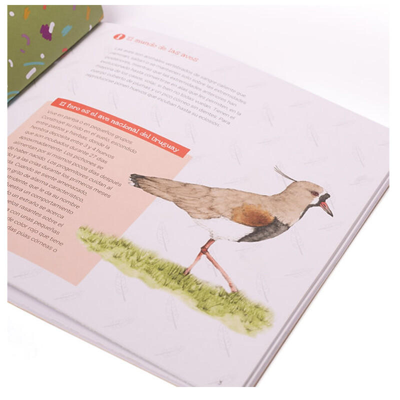 Libro Conociendo las aves del Uruguay Pika Libro Conociendo las aves del Uruguay Pika