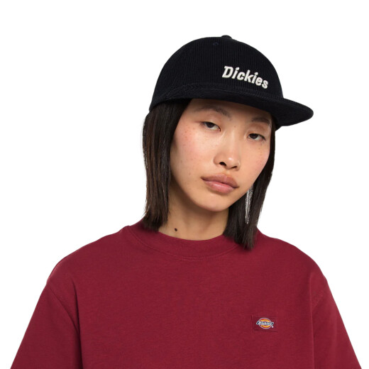 Gorra Dickies Williston - Multicolor Gorra Dickies Williston - Multicolor