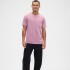 V-EVERYDAY SOFT CREW - SOLID WISPY MAUVE 902