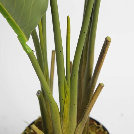 STRELITZIA ARTIFICIAL VERDE ARTIFICIAL Y8480-8-3PS