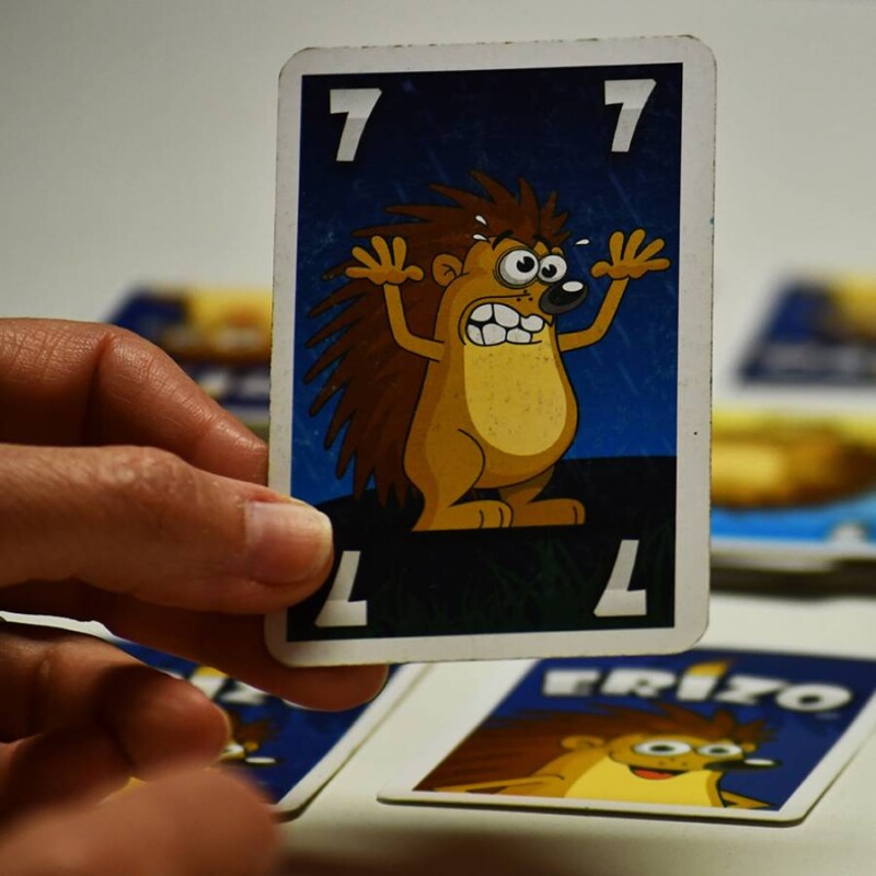 Erizo juego de mesa Habichuelas Erizo juego de mesa Habichuelas