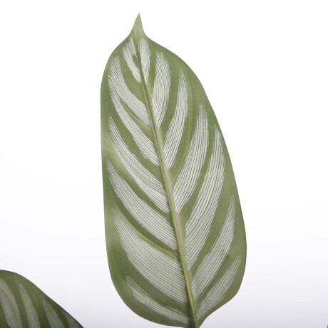 CALATHEA ARTIFICIAL Y8 VERDE ARTIFICIAL Y8560-10-4P