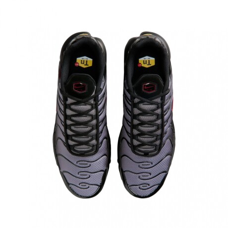 Championes Nike Air Max Plus Gray
