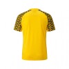 Camiseta de Entrenamiento PUMA Peñarol 07