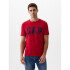 V-EVERYDAY SOFT BASIC LOGO T RED APPLE