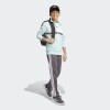 Conjunto Adidas Seasonal Essentials Tiberio Tricot 3 Rayas Multicolor