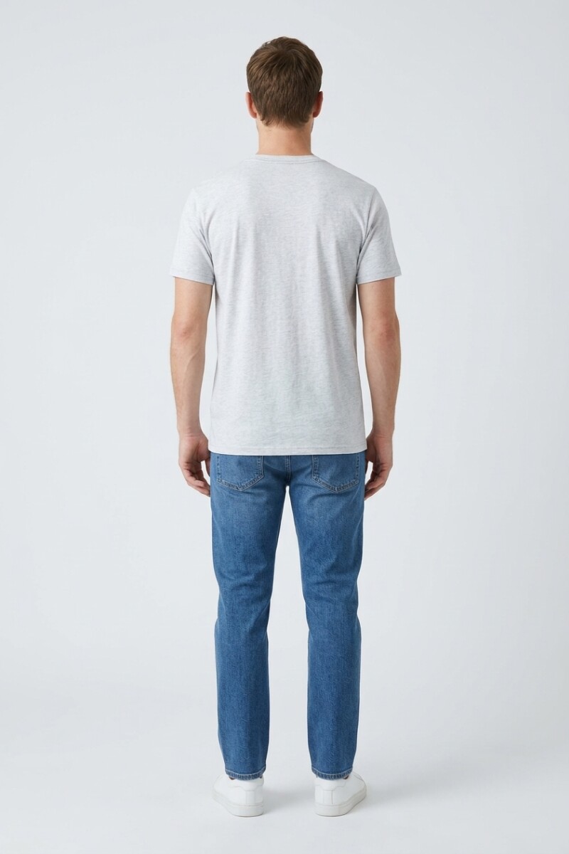 Camiseta estampada Tigre GRIS MELANGE