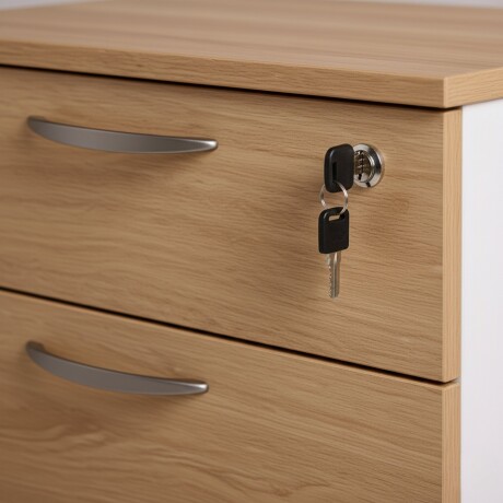 ARMARIO CORPORATIVO ORGANIZADOR 4 CAJONES CON LLAVE ARMARIO CORPORATIVO ORGANIZADOR 4 CAJONES CON LLAVE