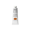 Óleo para Artistas - Winsor & Newton Tierras