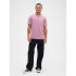 V-EVERYDAY SOFT CREW - SOLID WISPY MAUVE 902