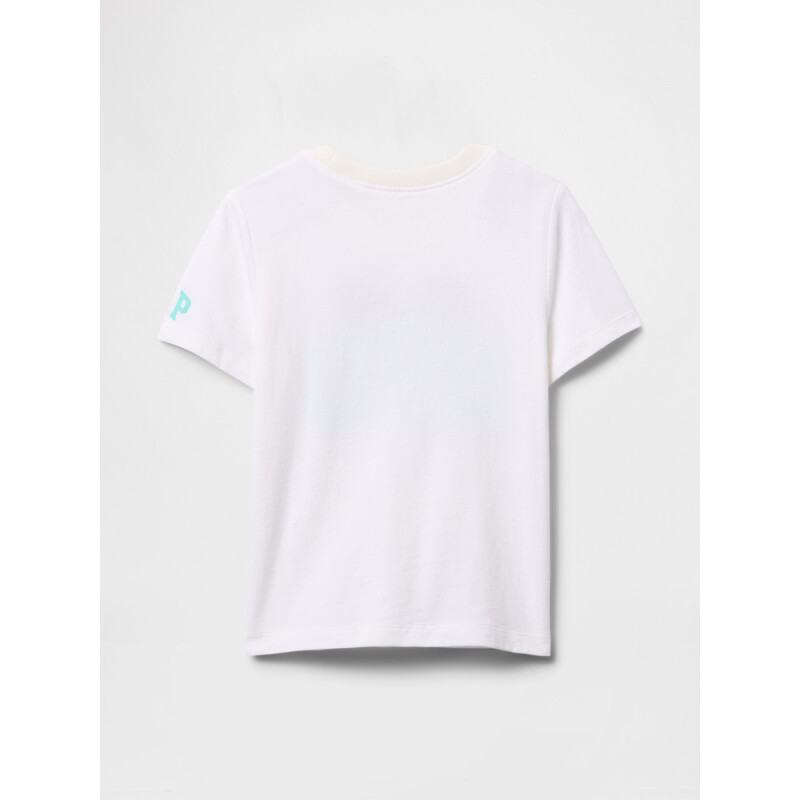 V-DIS BRO SS GR SP DIS FAM WHT TE SP25