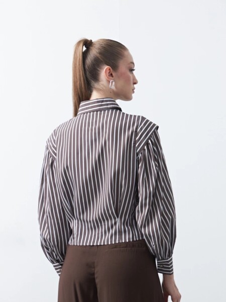 CAMISA D.CASSIN PULIZO CHOCOLATE