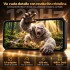 Celular De Trabajo Oukitel Resistente Wp300 5g 36(12+24)gb 512gb 16000mah CEL OUKITEL WP300 5G 12/512GB NEGRO