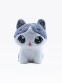 GATO CHATRAN GRIS