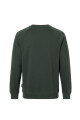 Buzo O'Neill Daily Wave Crewneck Verde