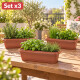 Set x3 Maceta rectangular 3 lts MARRON
