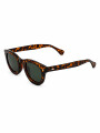 LENTE MILAN MARRON