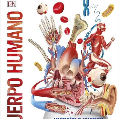 CUERPO HUMANO CUERPO HUMANO