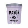PINTURA INTERIOR EXTERIOR COLOR MAYOR 4LT MAYORCRYL Lino