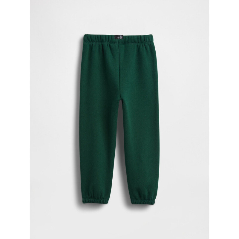 V-FRCH DISLOGO X GAP FAM JGR EVERGREEN GLAMOUR