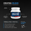 Servimedic Creatina Monohidratada 400g Servimedic Creatina Monohidratada 400g