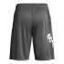 UA Tech Wdmk Shorts-GRY GRY-025