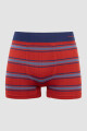 Boxer corinto Rojo tomate
