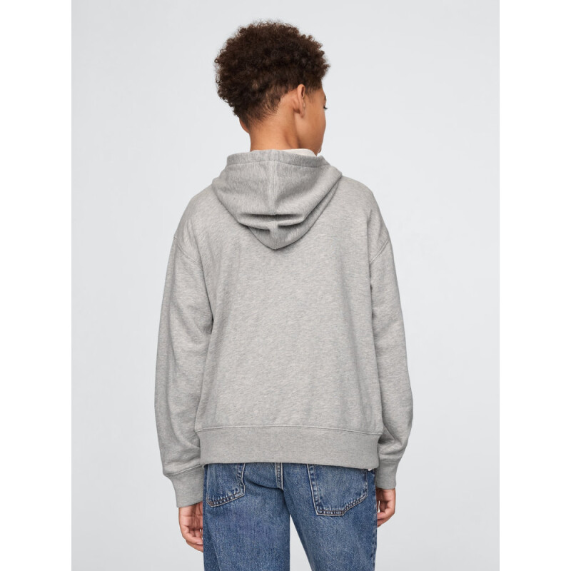 V-FRCH FT BAS HERITAGE LOGO FZ LIGHT HEATHER GREY B08