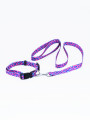 SET COLLAR Y CORREA ANIMAL PRINT ESTAMPADO 1