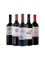 Pack Bacán Selección Vamos la Celeste x5 vinos Pack Bacán Selección Vamos la Celeste x5 vinos