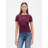 FRCH SS MOD RIB ABBRV TEE TUSCAN RED