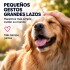 Bolsas Sanitarias x12 Residuos Mascota + Llavero Dispensador Rojo 1