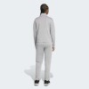 Conjunto Adidas Essentials Big Linear Gris