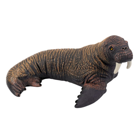 Foca de goma Foca de goma