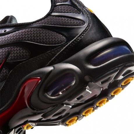 Championes Nike Air Max Plus Gray
