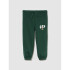 V-FRCH DISLOGO X GAP FAM JGR EVERGREEN GLAMOUR