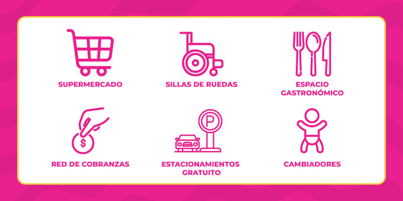 SERVICIOS