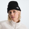 Gorro Salty lined beanie Tnf Black