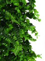 JARDIN VERTICAL HELECHO VERDE (V)