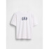 FR ORIGINAL LOGO TEE OPTIC WHITE V6