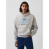 FIFA WORLD CUP HOODIES ARGENTINA