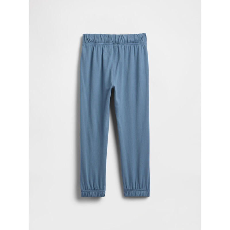 BF SLD PANT FA25 CORNFLOWER829