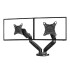 Soporte para 2 Monitores ELG F160N 17" a 35" Soporte para 2 Monitores ELG F160N 17" a 35"