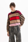 SWEATER CLOVER Multicolor